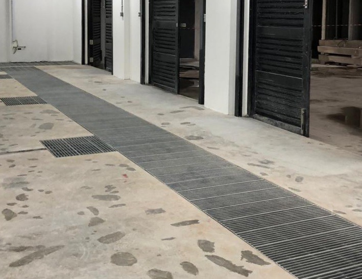 th-24248104040-709x548-1